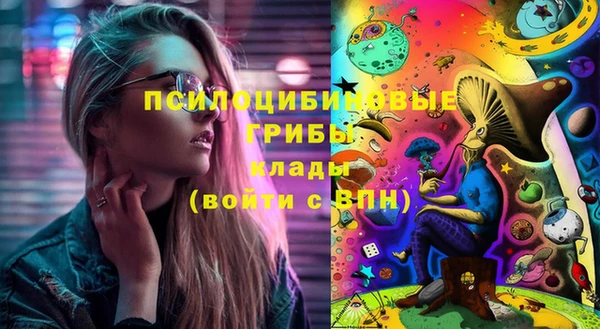 спайс Арсеньев