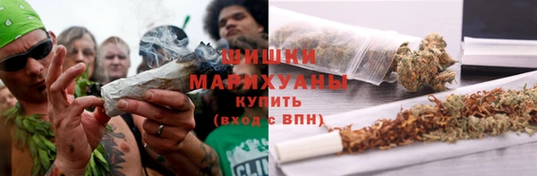 спайс Арсеньев
