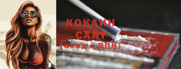 спайс Арсеньев