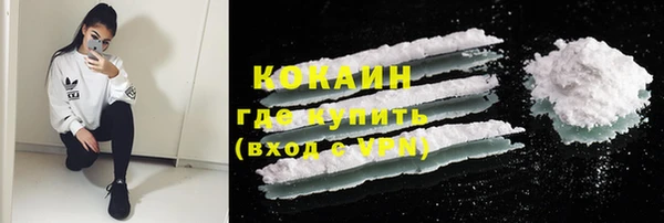 спайс Арсеньев