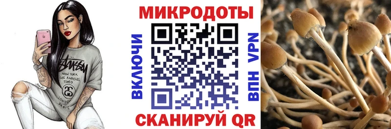 hydra tor  Усть-Лабинск  Галлюциногенные грибы Magic Shrooms  наркошоп 
